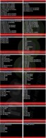 iCarsoft i980 Diagnose für Mercedes w203 w204 w211 w220 w221 uvm.